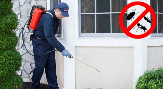 Beşikdüzü Böcek ve Haşere İlaçlama böcek ilaçlama ve haşere kontrolü — ilaclama-tr.com